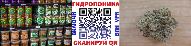 Cannafood конопля  наркота  Монино 