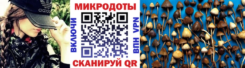 Псилоцибиновые грибы мухоморы  как найти закладки  Монино 